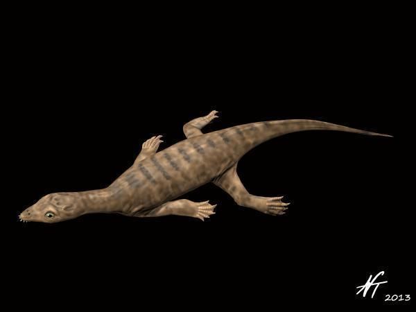 Dianopachysaurus 4bpblogspotcom6ZUoBYL5I3oUaQeqrjJ38IAAAAAAA