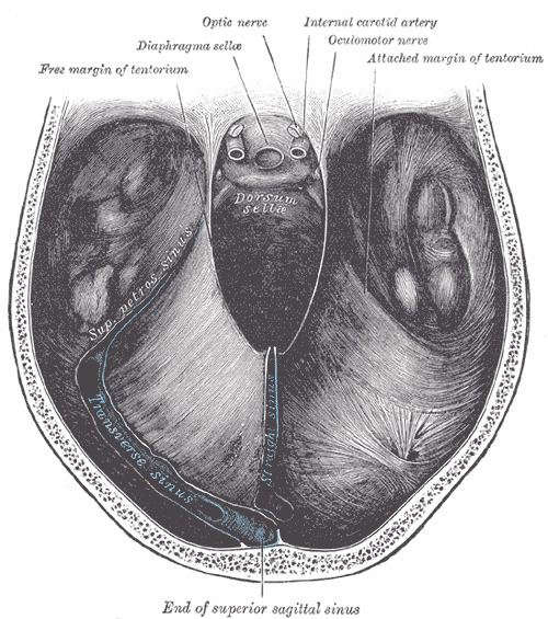 Diaphragma sellae