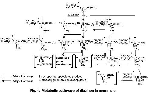 Diazinon Diazinon EHC 198 1998