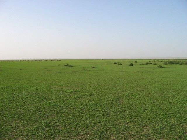 Dibdiba (Saudi Arabia)