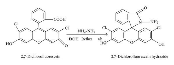 Dichlorofluorescein Synthesis of 27dichlorofluorescein hydrazide Figure 1 of 7