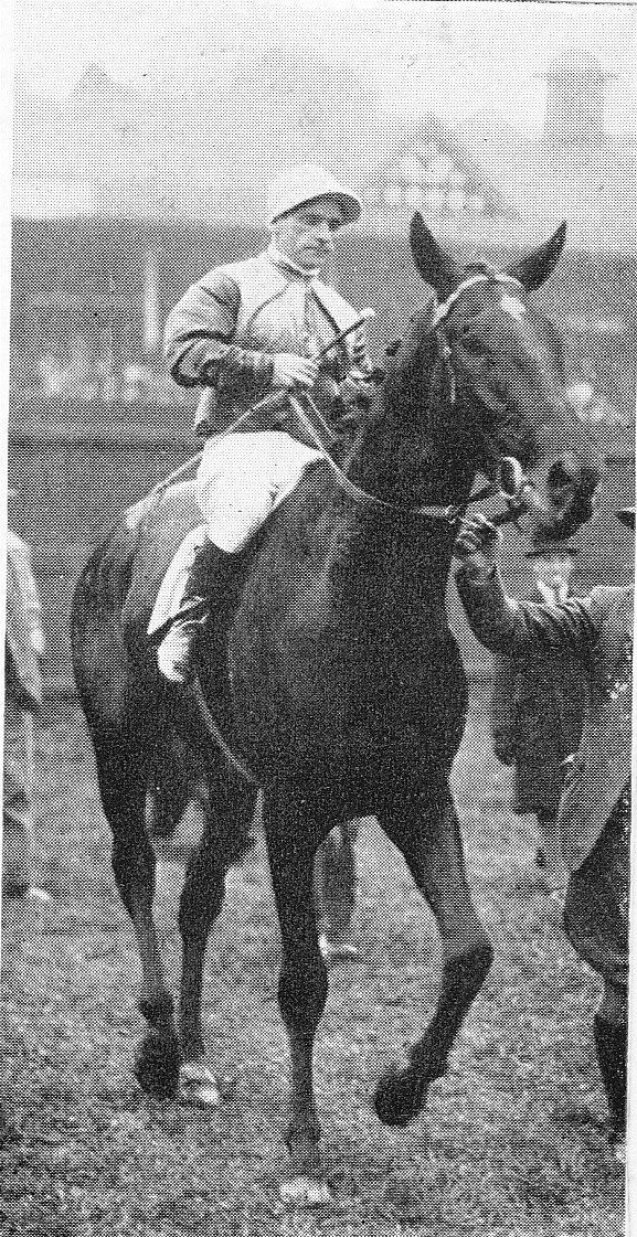 Dick Turpin (racehorse)