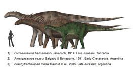 Dicraeosauridae httpsuploadwikimediaorgwikipediacommonsthu