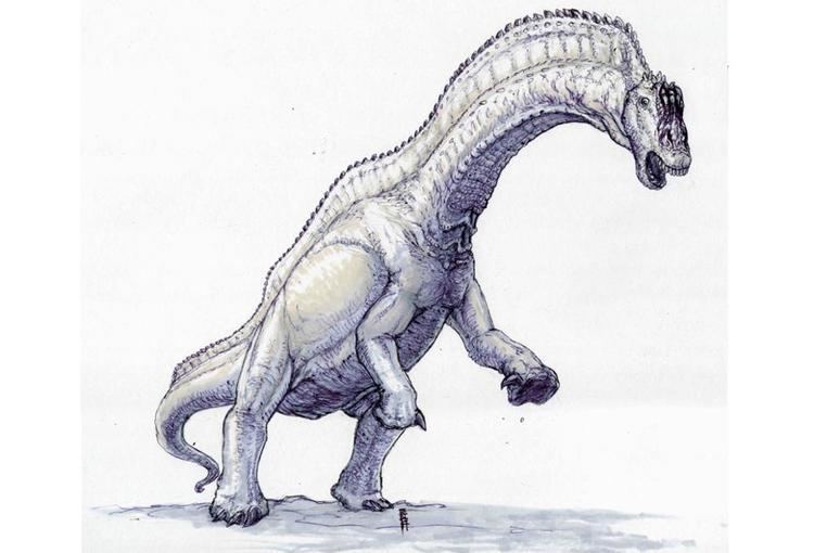 Dicraeosaurus Dicraeosaurus Sauropod Vertebra Picture of the Week