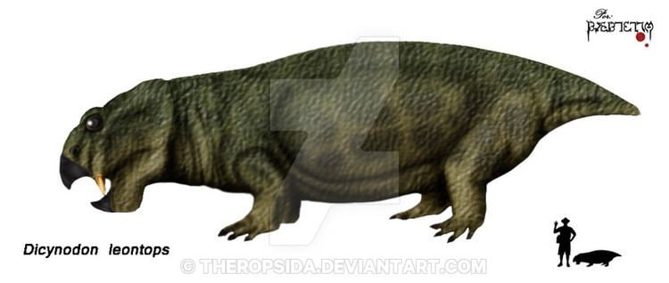 Dicynodon - Alchetron, The Free Social Encyclopedia