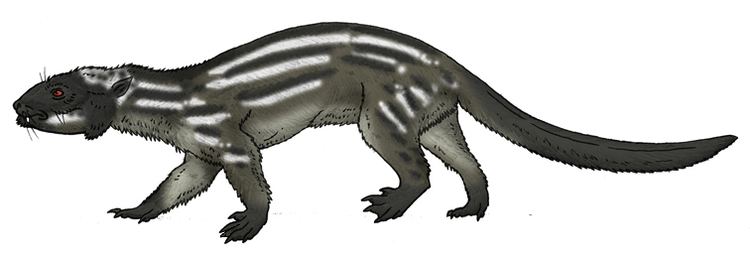 Didelphodon Didelphodon by Pristichampsus on DeviantArt