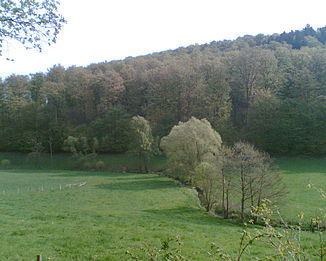 Dieße httpsuploadwikimediaorgwikipediacommonsthu