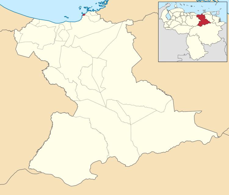 Diego Bautista Urbaneja Municipality