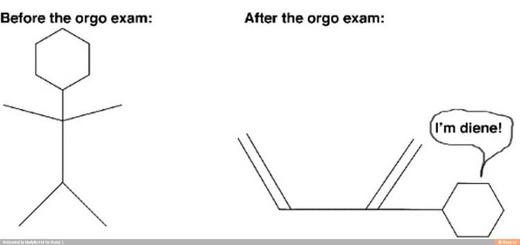 Diene diene iFunny