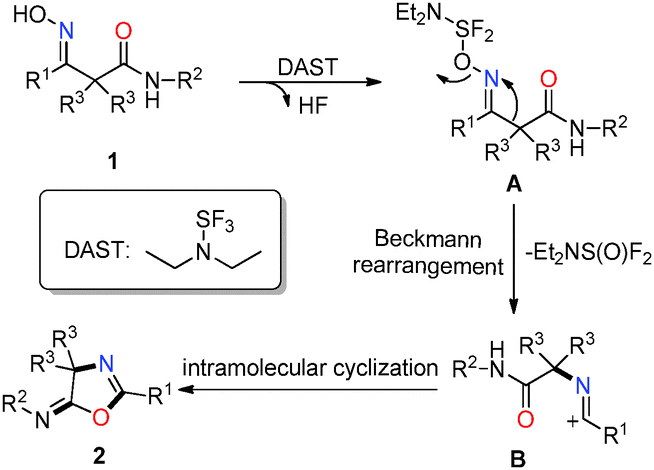Diethylaminosulfur trifluoride DASTpromoted Beckmann rearrangementintramolecular cyclization of
