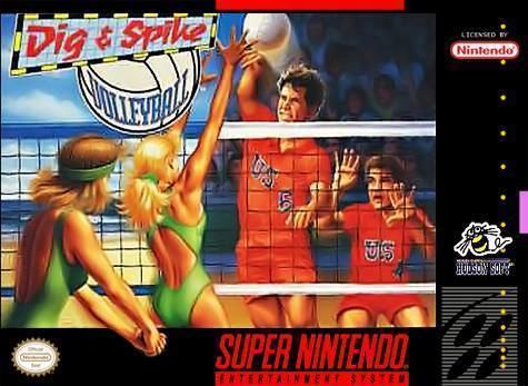 Dig & Spike Volleyball httpsgamefaqsakamaizednetbox61350613fro