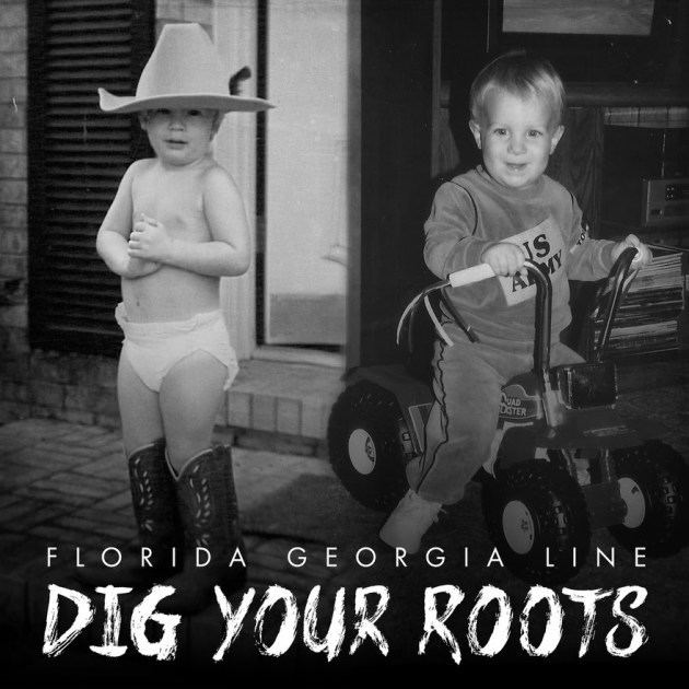 Dig Your Roots floridageorgialinecomwpcontentthemesrootsima