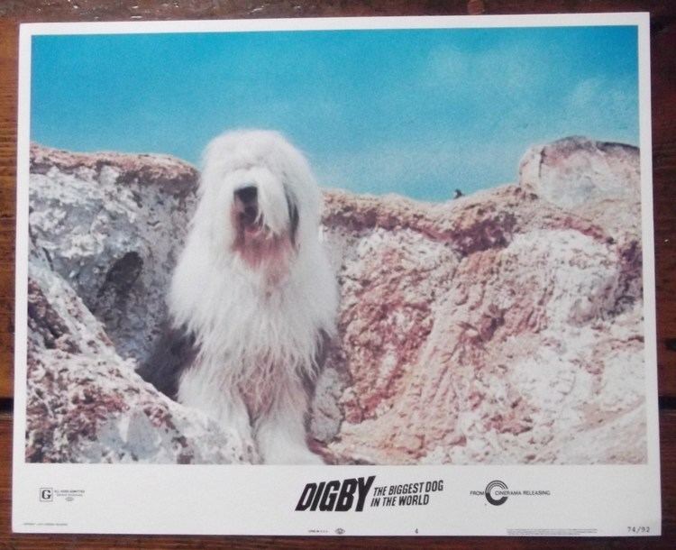 Digby, the Biggest Dog in the World Digby the Biggest Dog in the World Original Lobby Card 4 Jim Dale 74