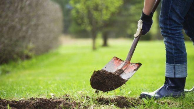 Digging A Point of View Why gardening is really about digging your own