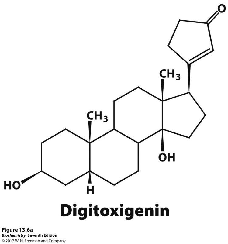 Digitoxigenin Kevin Ahern39s Biochemistry BB 451551 at Oregon State University