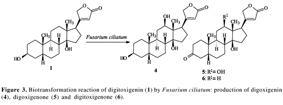 Digitoxigenin Biotransformation of digitoxigenin by Fusarium ciliatum