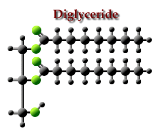 Diglyceride diglyceride Gallery