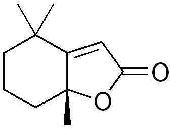 Dihydroactinidiolide httpsuploadwikimediaorgwikipediacommons66