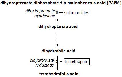 Dihydrofolate reductase inhibitor