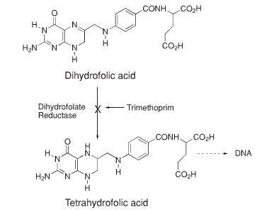 Dihydrofolic acid Medical Pharmacology Antiviral Drugs