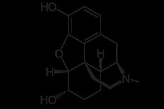Dihydromorphine FileDihydromorphine 2D structuresvg Wikimedia Commons