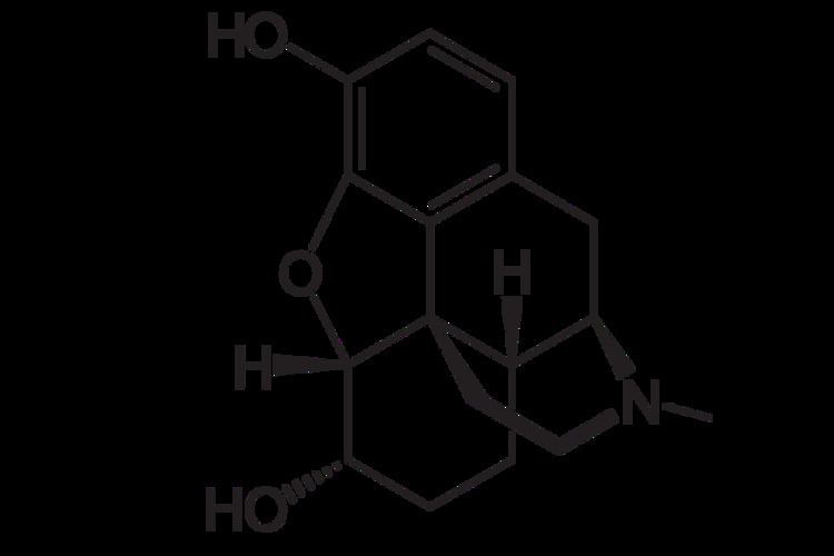 Dihydromorphine FileDihydromorphine 2D structuresvg Wikimedia Commons
