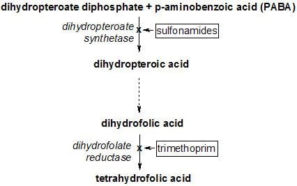 Dihydropteroate synthase inhibitor