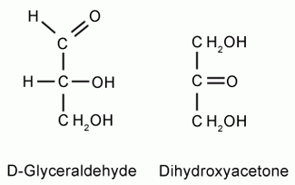 On the left is At the right is a structure with a white line connected in each element:H-C=O    CH-C-OH    C H2 OHD-GlyceraldehydeAt the right is a structure with a white line connected in each element:C H2OHC = OC H2OHDihydroxyacetone
