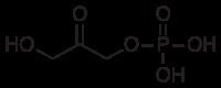 Dihydroxyacetone phosphate Dihydroxyacetone phosphate Wikipedia
