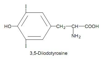 Diiodotyrosine Formation of thyroid hormone Homework Help Assignment Help
