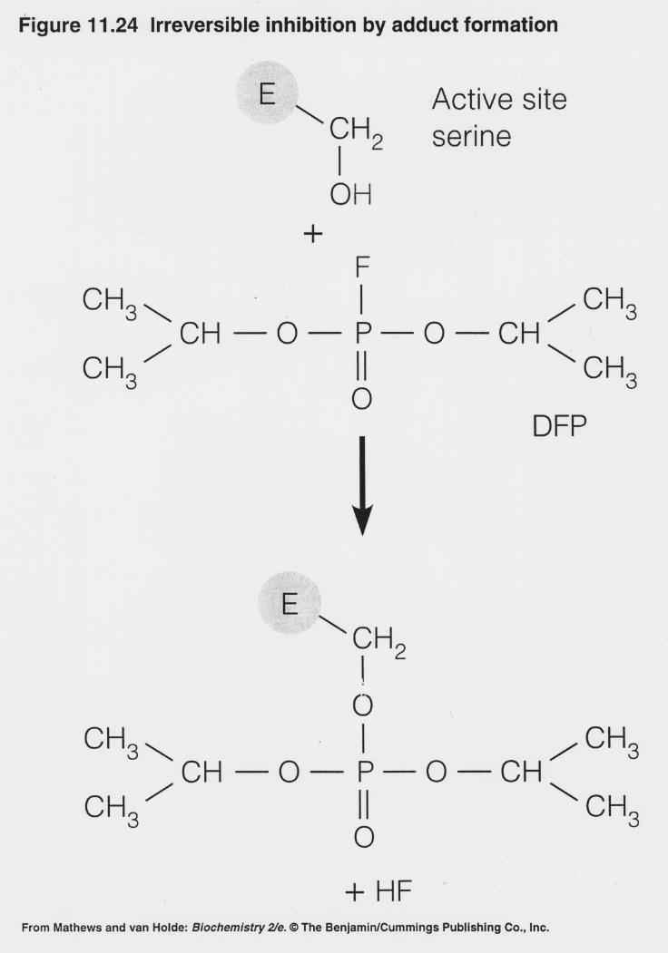 Diisopropyl fluorophosphate Irreversible Enzyme Inhibition Diisopropylfluorophosphate DFP