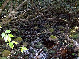 Dilgry River httpsuploadwikimediaorgwikipediacommonsthu