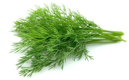 Dill Dill benefits Creative Kitchen