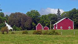 Dill Farm httpsuploadwikimediaorgwikipediacommonsthu