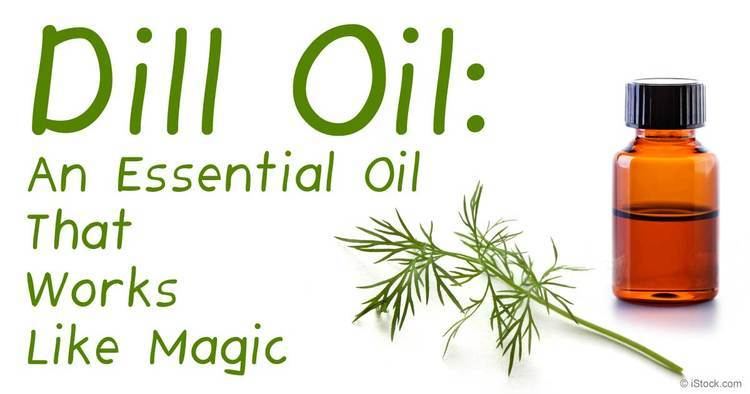 Dill oil Herbal Oil Dill Oil Benefits and Uses