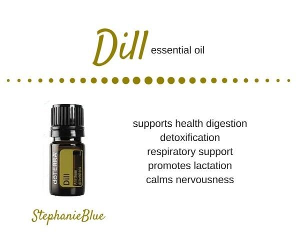 Dill oil 11 Benefits amp Uses of Dill Essential Oil