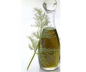 Dill oil Dill seed oil nutrition facts and health benefits HB times