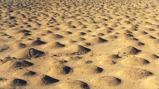 Dilmun Burial Mounds wwwbahraincomSiteCollectionImagesPage20Images