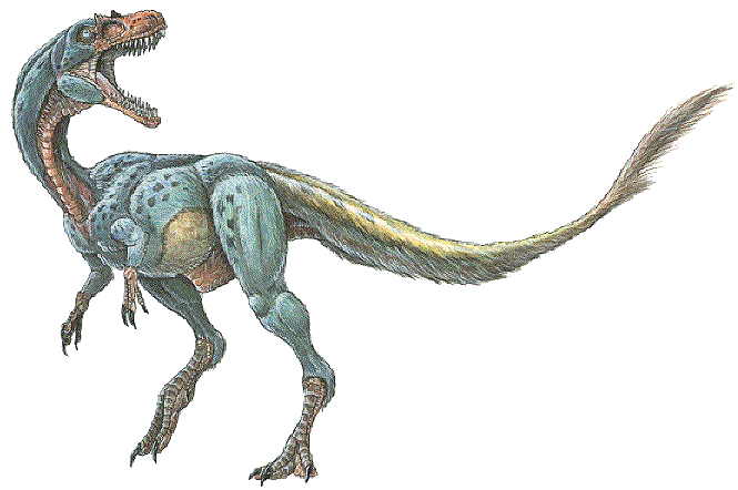 Dilong (dinosaur) Dilong paradoxus the feathered tyrannosaur dinosaur