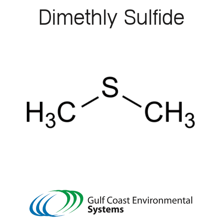 Dimethyl sulfide httpsuploadwikimediaorgwikipediacommonsthu