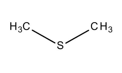 Dimethyl sulfide What39s that smell Dimethyl sulfide DMS FEMA 3536 Flavor Scientist