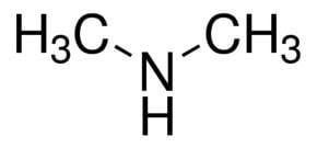 Dimethylamine wwwsigmaaldrichcomcontentdamsigmaaldrichstr