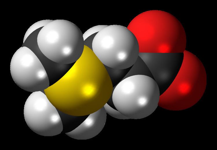 Dimethylsulfoniopropionate FileDimethylsulfoniopropionate zwitterion 3D spacefillpng