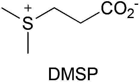Dimethylsulfoniopropionate The chemical biology of dimethylsulfoniopropionate Organic