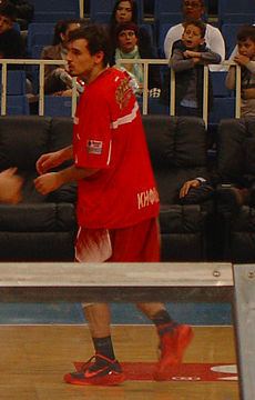 Dimitrios Stamatis (basketball) httpsuploadwikimediaorgwikipediaenthumb2