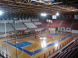 Dimitris Tofalos Arena httpsuploadwikimediaorgwikipediacommonsthu