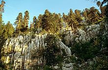 Dinaric Mountains mixed forests httpsuploadwikimediaorgwikipediacommonsthu