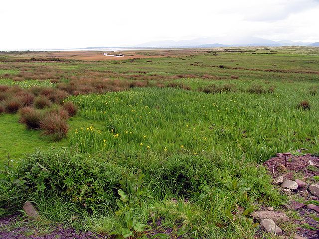 Dingle Marshes