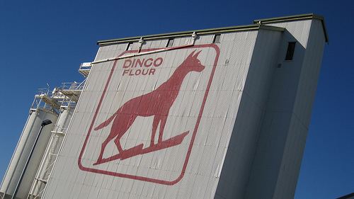 Dingo Flour sign Stirling Highway Icon