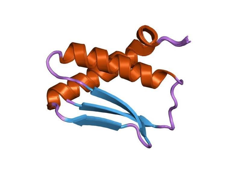 DinI-like protein family
